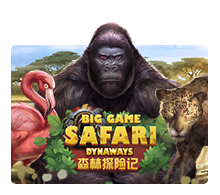 safari