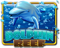 dolphin reef