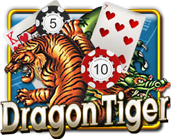 dragon tiger